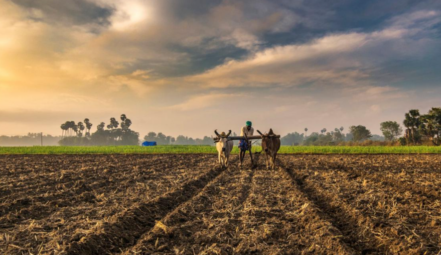 sustainability-in-our-modern-us-agricultural-system